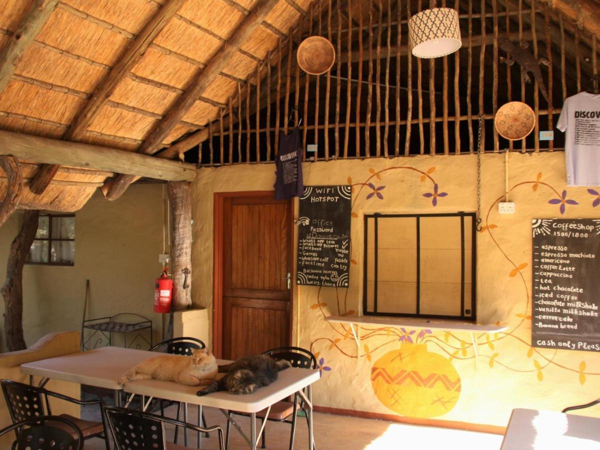 Discovery Bed And Breakfast Maun Bagian luar foto