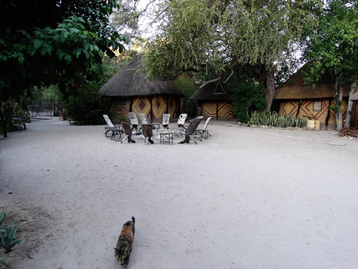 Discovery Bed And Breakfast Maun Bagian luar foto
